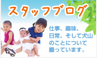 スタッフブログ